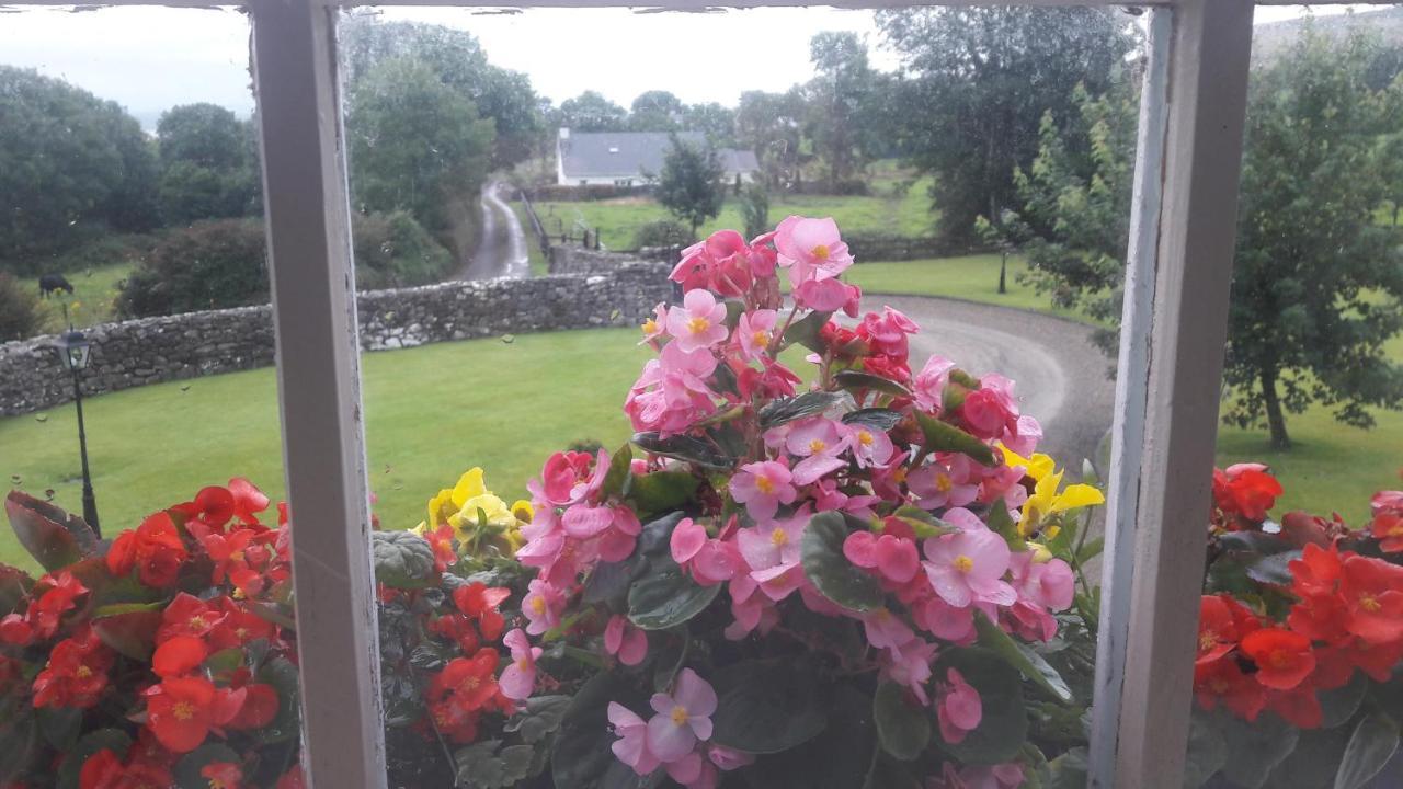 Bealkelly Country House Killaloe Exteriör bild