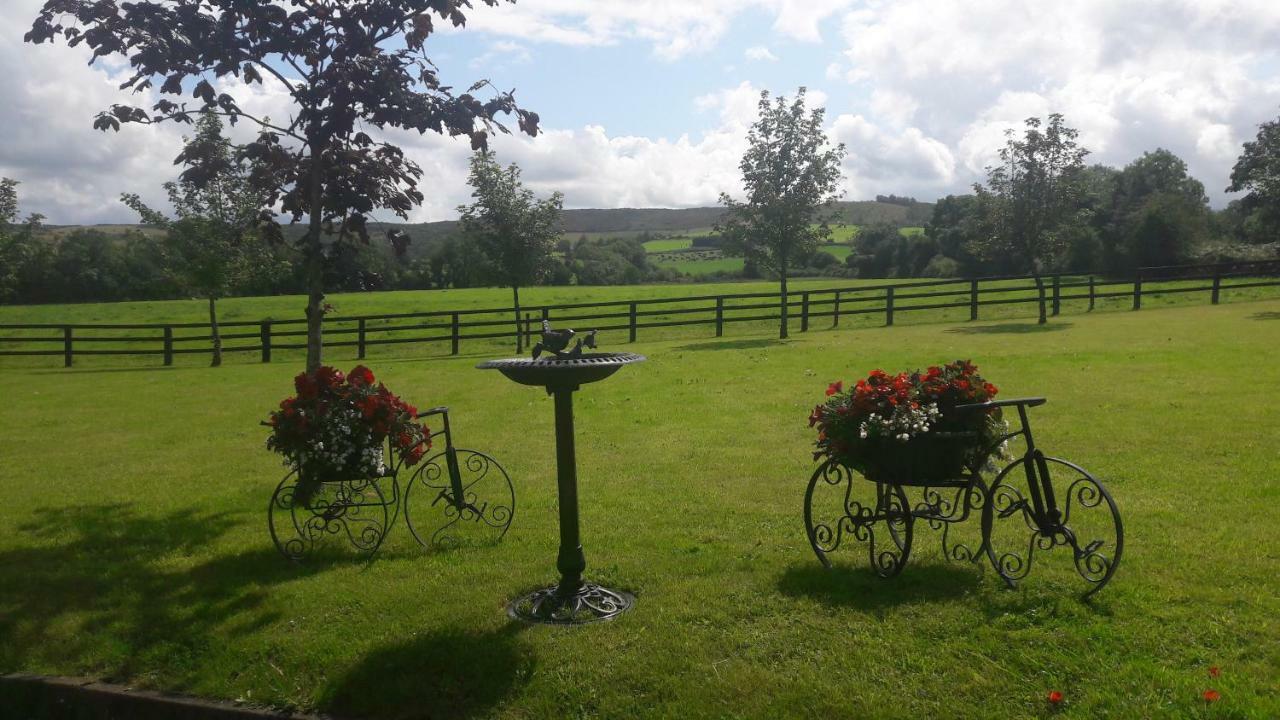 Bealkelly Country House Killaloe Exteriör bild